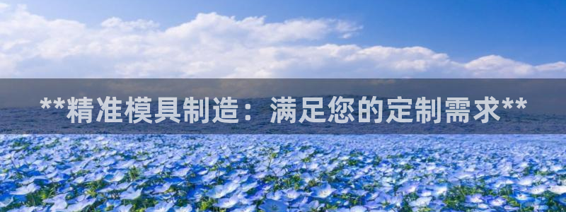彩神网官网登录：**精准模具制造：满足您的定制需求**