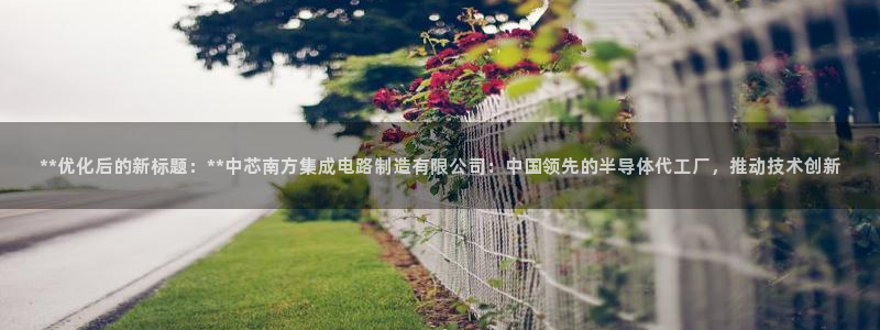 彩神v8平台正规吗可靠吗：**优化后的新标题：**中芯南方集成电路制造有限公司：中国领先的半导体代工厂，推动技