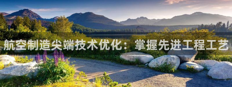 彩神8最新版下载：航空制造尖端技术优化：掌握先进工程工艺
