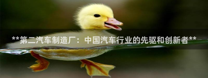 所有彩神购买首页：**第二汽车制造厂：中国汽车行业的先驱和创新者**