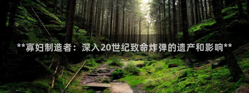 彩神v8是真的挣钱吗：**寡妇制造者：深入20世纪致命炸弹的