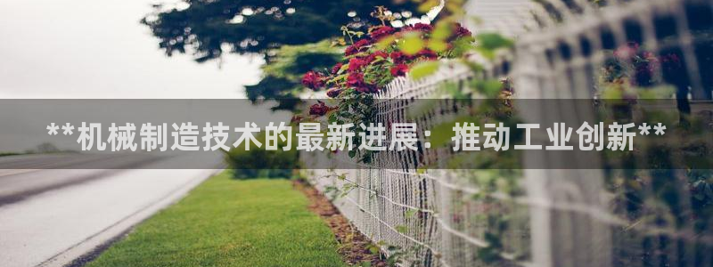 彩神是真的吗：**机械制造技术的最新进展：推动工业创新**