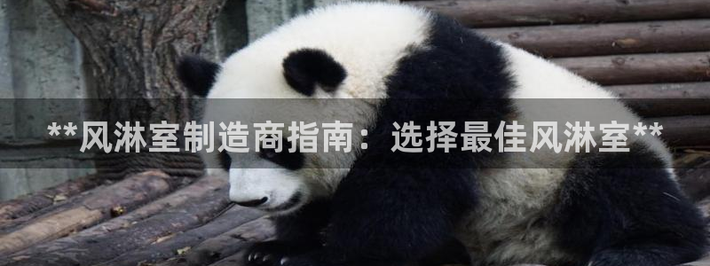 彩神大发官网：**风淋室制造商指南：选择最佳风淋室**