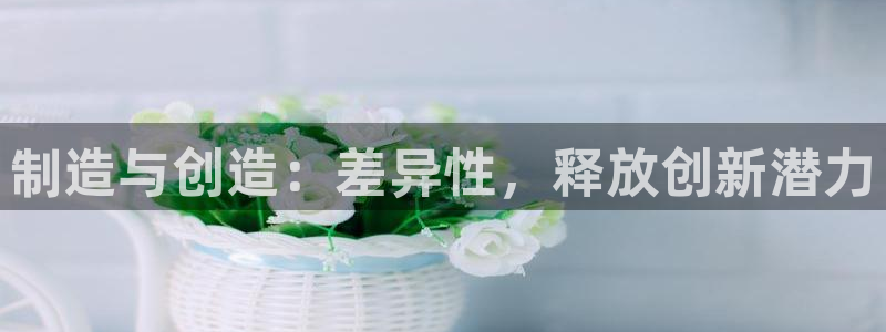 彩神通官方网：制造与创造：差异性，释放创新潜力