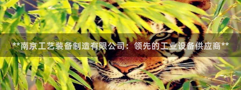 彩神v大众娱乐：**南京工艺装备制造有限公司：领先的工业设备供应商**