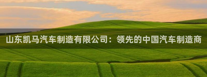 彩神vll购彩大厅：山东凯马汽车制造有限公司：领先的中国汽车