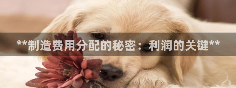 下载彩神争霸谁与我争锋：**制造费用分配的秘密：利润的关键**