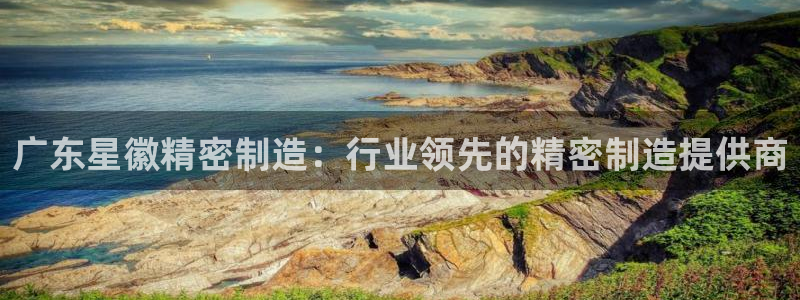 彩神官方登录：广东星徽精密制造：行业领先的精密制造提供商