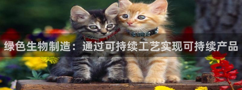 彩神ll能赚钱吗：绿色生物制造：通过可持续工艺实现可持续产品