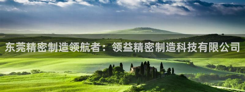 彩神ii官方网：东莞精密制造领航者：领益精密制造科技有限公司