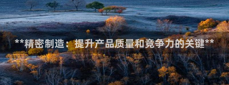 彩神v大众娱乐：**精密制造：提升产品质量和竞争力的关键**