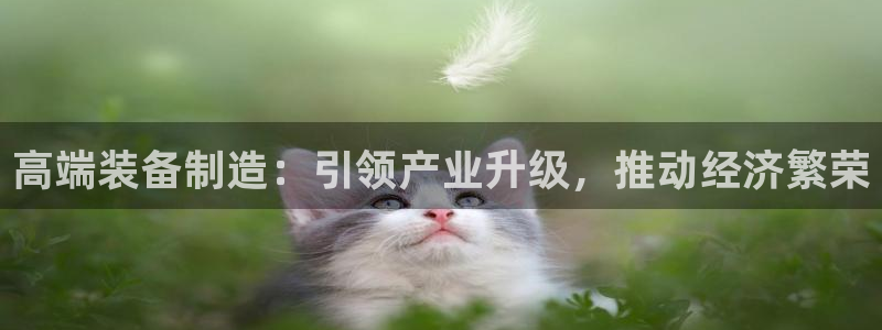 彩神8官网下：高端装备制造：引领产业升级，推动经济繁荣