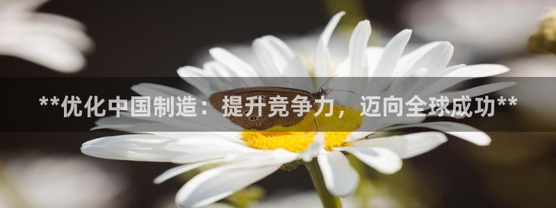 彩神ii官方网：**优化中国制造：提升竞争力，迈向全球成功**