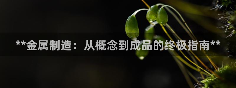 彩神8彩平台客服：**金属制造：从概念到成品的终极指南**
