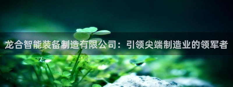 彩神vll购彩大厅：龙合智能装备制造有限公司：引领尖端制造业的领军者