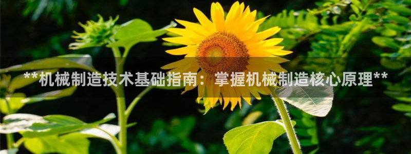 彩神争霸老平台：**机械制造技术基础指南：掌握机械制造核心原理**