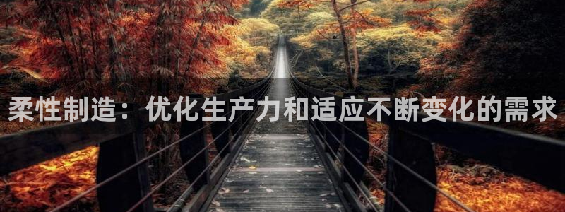 在彩神网输了六万多怎么拿回来：柔性制造：优化生产力和适应不断