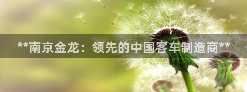 彩神ix可靠吗：**南京金龙：领先的中国客车制造商**
