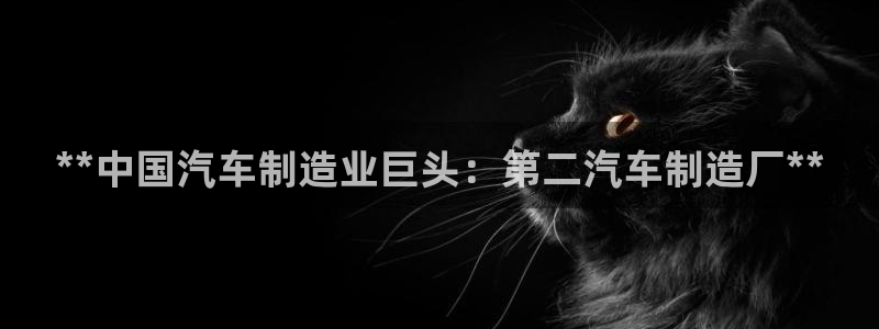 彩神大发官网：**中国汽车制造业巨头：第二汽车制造厂**
