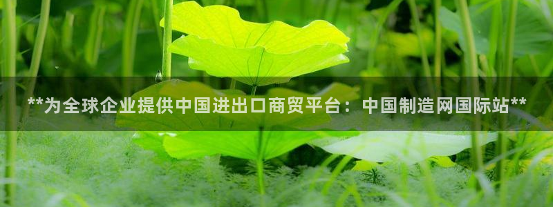 彩神v8下载app：**为全球企业提供中国进出口商贸平台：中