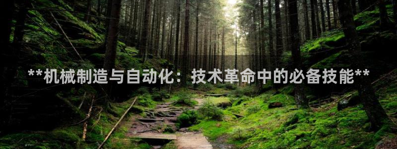 彩神8是正规平台吗知乎：**机械制造与自动化：技术革命中的必备技能**