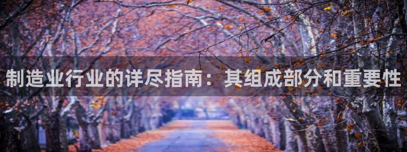 彩神赢的钱是哪里来的啊：制造业行业的详尽指南：其组成部分和重要性