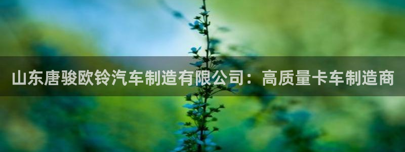 彩神争霸官方下载：山东唐骏欧铃汽车制造有限公司：高质量卡车制