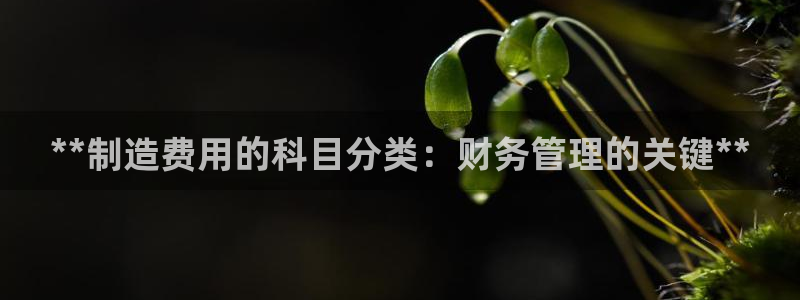 彩神可以提现吗：**制造费用的科目分类：财务管理的关键**
