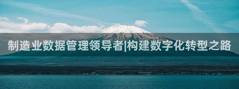 彩神viii下载安卓：制造业数据管理领导者|构建数字化转型之路