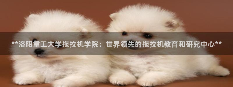 彩神网可以赚钱是真的吗：**洛阳重工大学拖拉机学院：世界领先的拖拉机教育和研究中心**