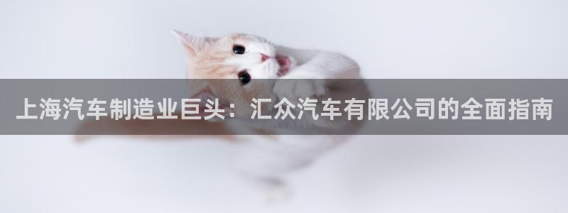 彩神iv争霸购彩大厅：上海汽车制造业巨头：汇众汽车有限公司的