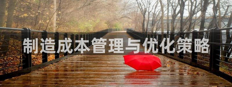 彩神v8平台正规吗知乎：制造成本管理与优化策略