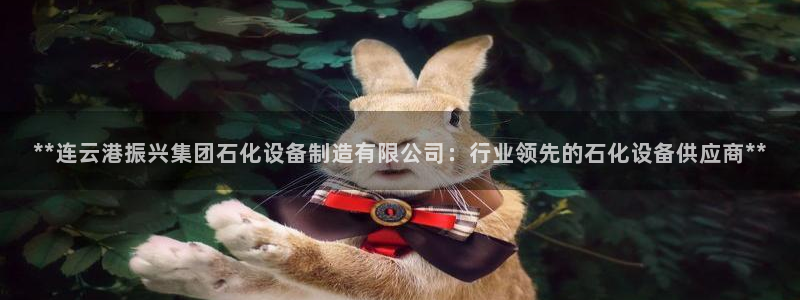 彩神是什么平台的游戏：**连云港振兴集团石化设备制造有限公司：行业领先的石化设备供应商**