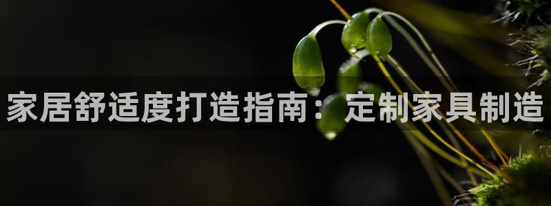 彩神vl官网：家居舒适度打造指南：定制家具制造