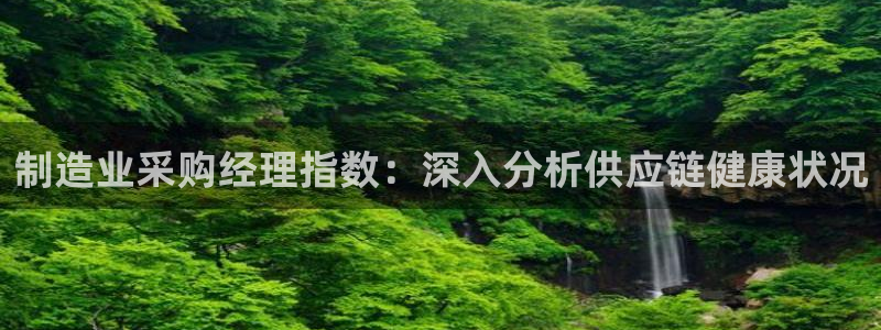 彩神8购彩-购彩大厅：制造业采购经理指数：深入分析供应链健康状况