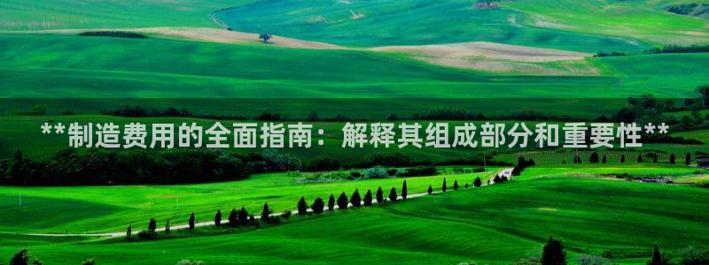 彩神v破解版：**制造费用的全面指南：解释其组成部分和重要性**
