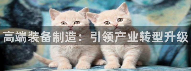 彩神购彩-购彩大厅入口娱乐首选：高端装备制造：引领产业转型升