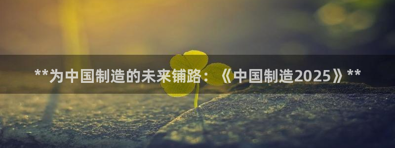 彩神数码科技有限公司：**为中国制造的未来铺路：《中国制造2025》**