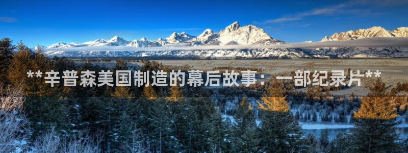 彩神V集团有限公司：**辛普森美国制造的幕后故事：一部纪录片**