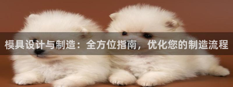 彩神ix能赚钱吗：模具设计与制造：全方位指南，优化您的制造流程
