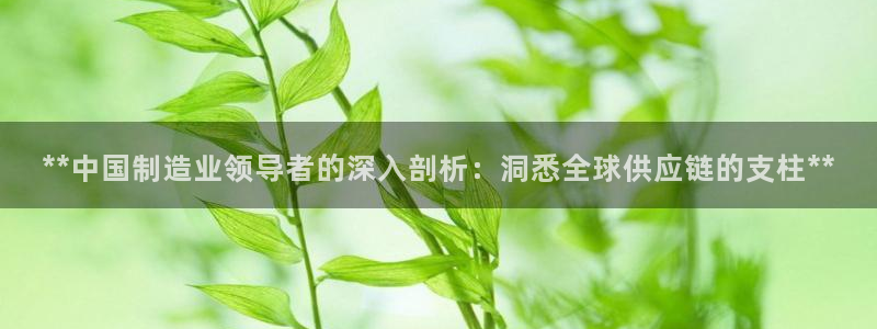 彩神v|：**中国制造业领导者的深入剖析：洞悉全球供应链的支