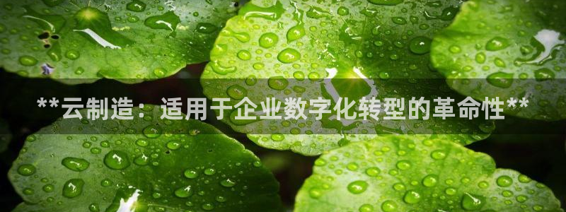 彩神购彩-购彩大厅入口：**云制造：适用于企业数字化转型的革命性**