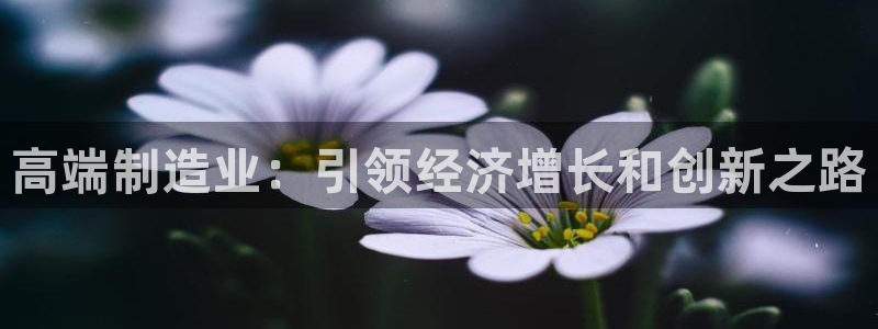 彩神大发黑平台：高端制造业：引领经济增长和创新之路