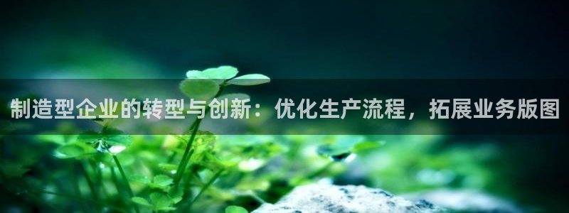 彩神vll官网-最新版app下载：制造型企业的转型与创新：优化生产流程，拓展业务版图