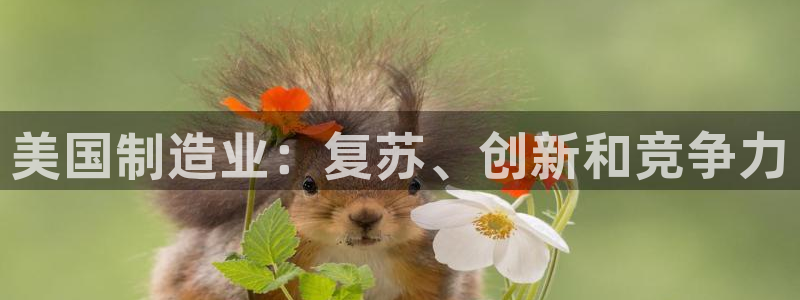 彩神购彩-购彩大厅入口计划群：美国制造业：复苏、创新和竞争力