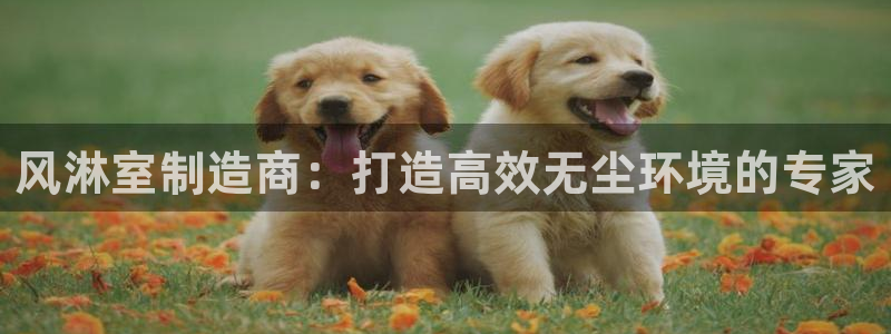 彩神输的钱是赌博还是诈骗：风淋室制造商：打造高效无尘环境的专