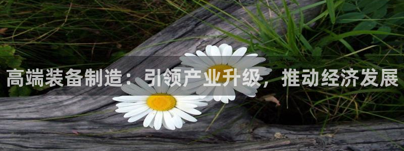 彩神购彩-购彩大厅入口计划群：高端装备制造：引领产业升级，推动经济发展