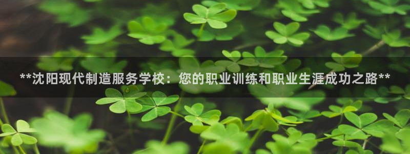 彩神8彩平台：**沈阳现代制造服务学校：您的职业训练和职业生涯成功之路**