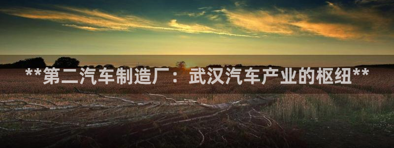 彩神这个平台是真的吗：**第二汽车制造厂：武汉汽车产业的枢纽
