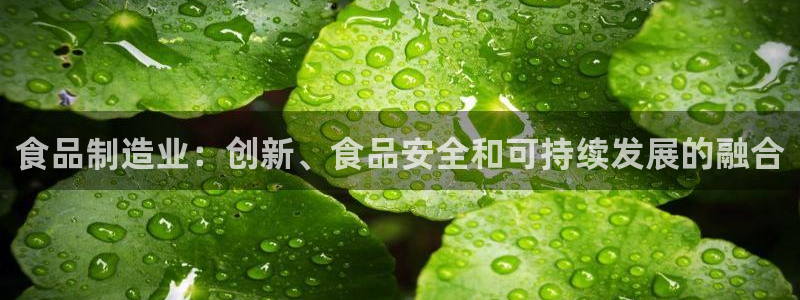 彩神购彩购彩大厅入口v：食品制造业：创新、食品安全和可持续发展的融合